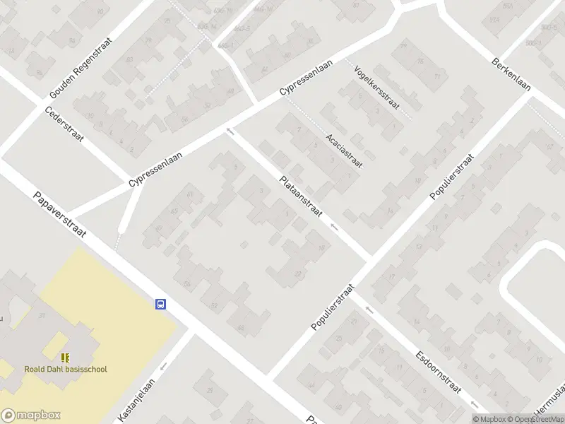 Overlastmelding Plataanstraat in Sint-Michielsgestel