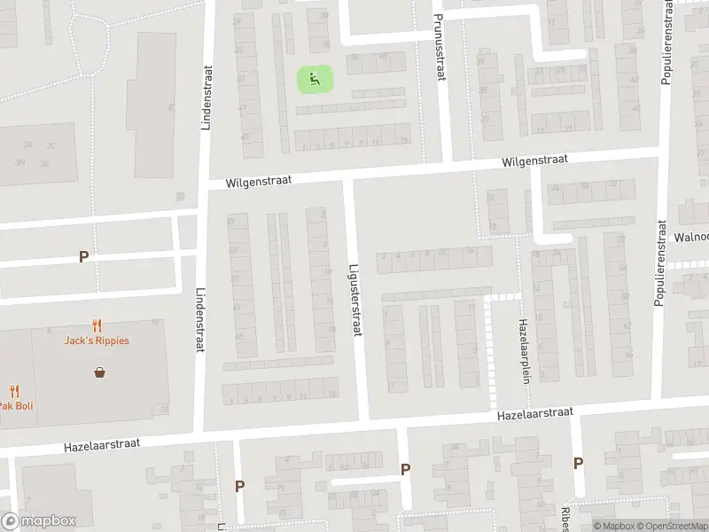 Brandweer met grote spoed naar de Ligusterstraat in Spijkenisse vanwege stankoverlast