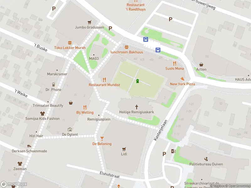 Brandweer met gepaste spoed naar de Remigiusplein in Duiven