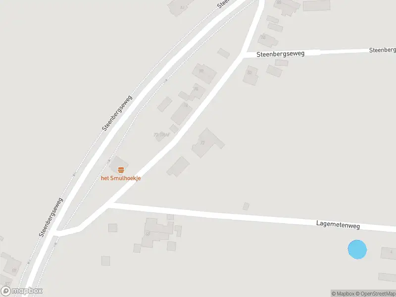 Brandweer met gepaste spoed naar de Steenbergseweg in Lepelstraat vanwege een buitenbrand