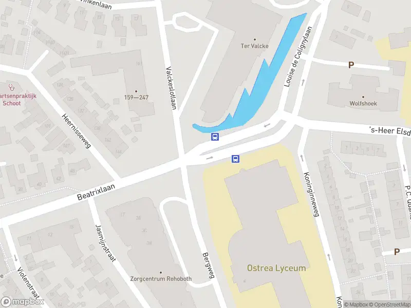 Politie met grote spoed naar de Van Dusseldorpstraat in Goes vanwege letsel