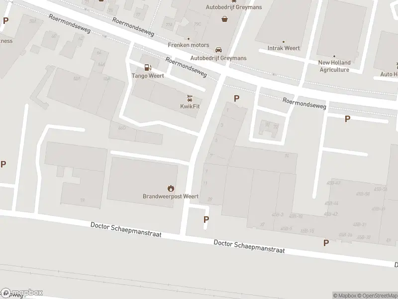 Brandweer met gepaste spoed naar de De Savornin Lohmanstraat in Weert