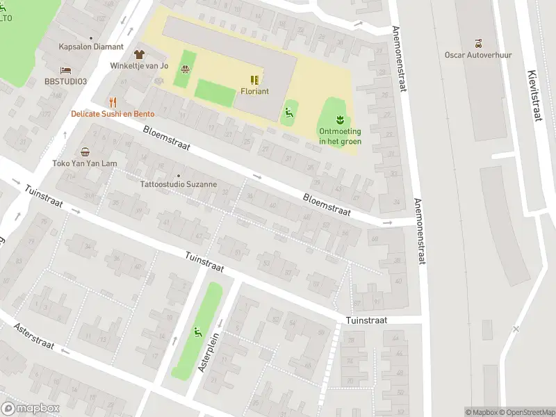 Overlastmelding Bloemstraat in Den Helder