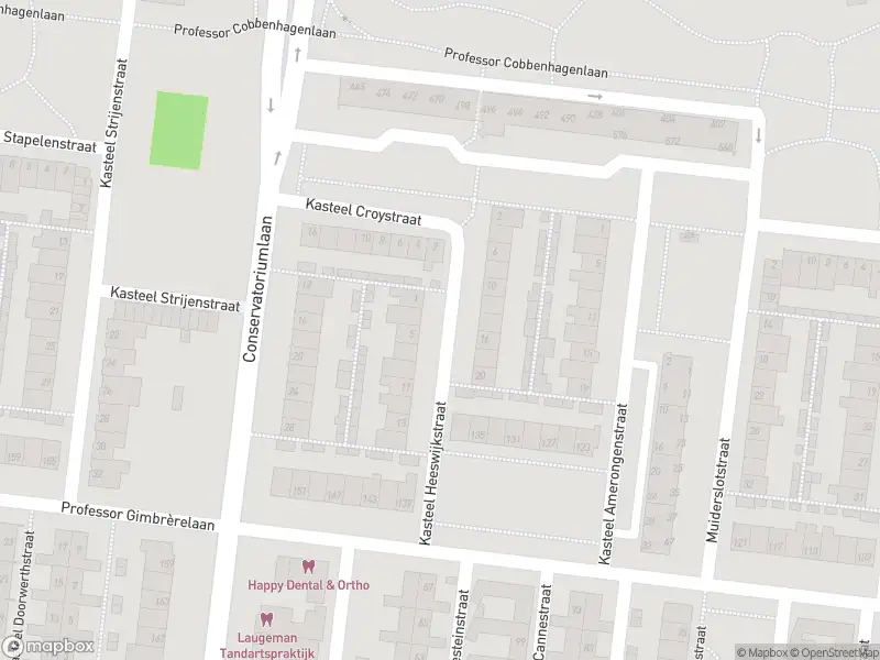 Overlastmelding Kasteel Nijenrodestraat in Tilburg
