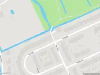 Overlastmelding IJsvogel in Maarssen