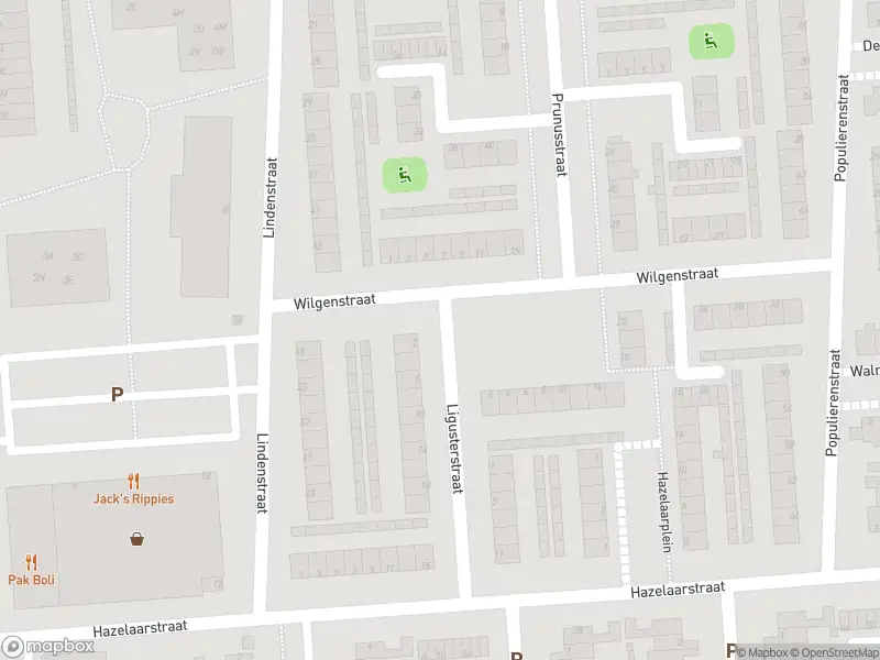 Brandweer met gepaste spoed naar de Wilgenstraat in Spijkenisse vanwege stankoverlast