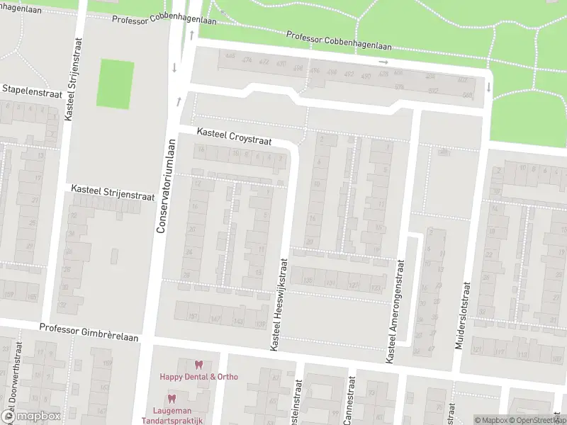 Overlastmelding Kasteel Cannestraat in 5037TB Tilburg