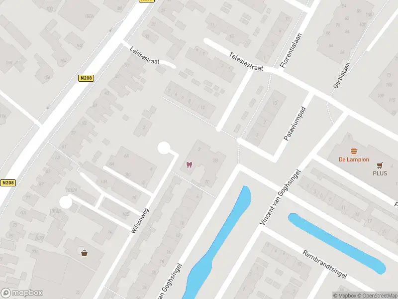 Overlastmelding Vincent van Goghsingel in Hillegom