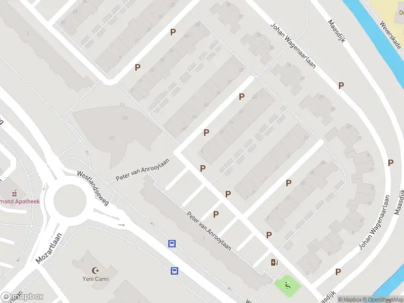 Overlastmelding Peter van Anrooylaan in Maassluis