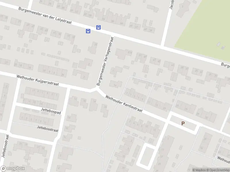 Overlastmelding Wethouder Kentiestraat in Woudrichem