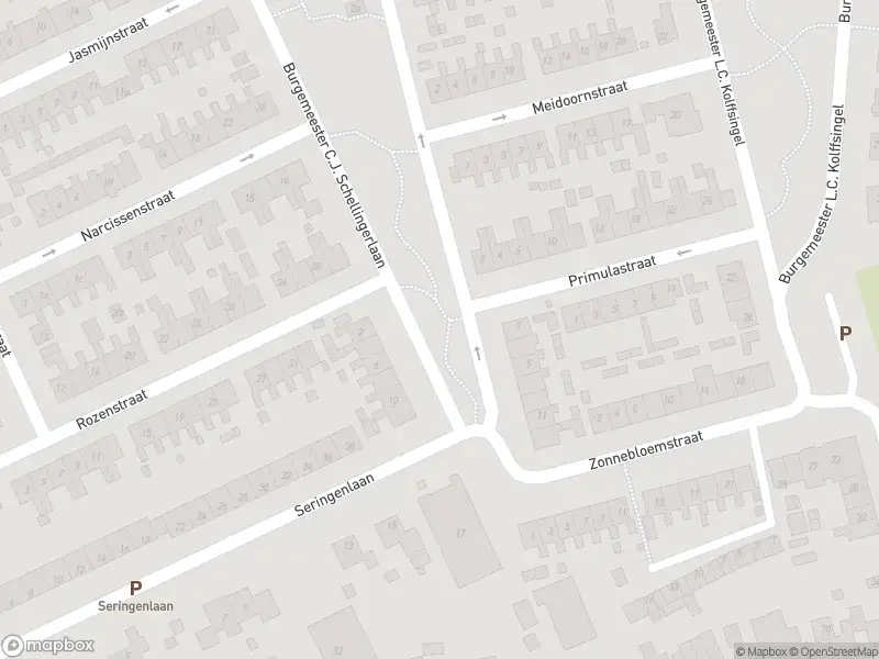 Overlastmelding Burgemeester C.J. Schellingerlaan in Hippolytushoef gesloten