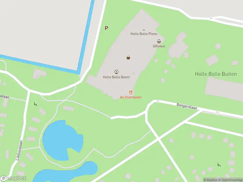 Overlastmelding Bongerdlaan in Dirkshorn