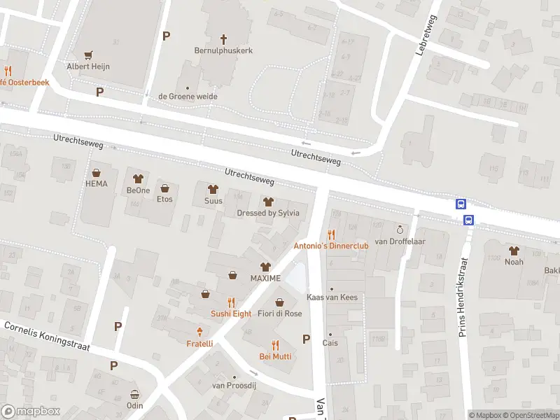 Overlastmelding Utrechtseweg in Oosterbeek gesloten