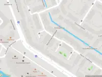 Ambulance met gepaste spoed naar de Reina Prinsen Geerligspad in Leiden