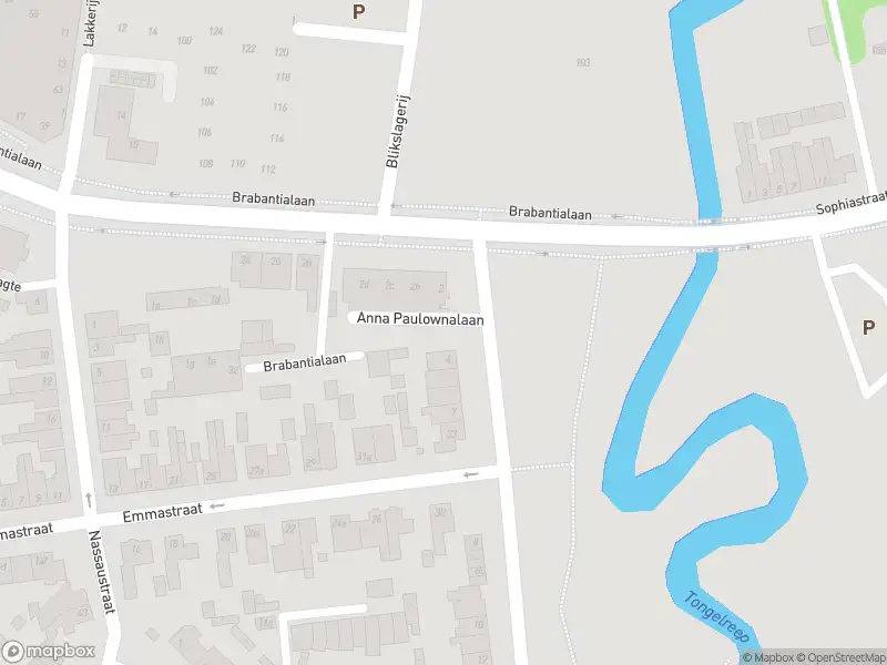 Overlastmelding Anna Paulownalaan in Waalre