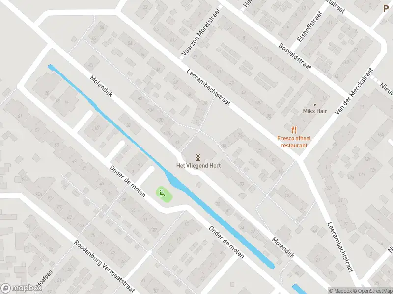 Overlastmelding Molendijk in 's-Gravendeel