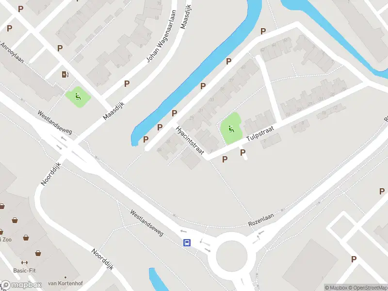 Overlastmelding Hyacintstraat in Maassluis gesloten