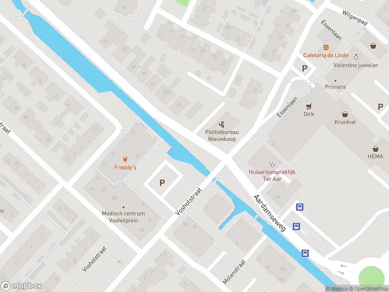 Ambulance met gepaste spoed naar de Vierambachtsstraat in Ter Aar