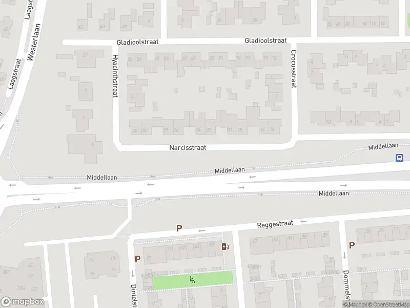 Overlastmelding Middellaan in Dongen