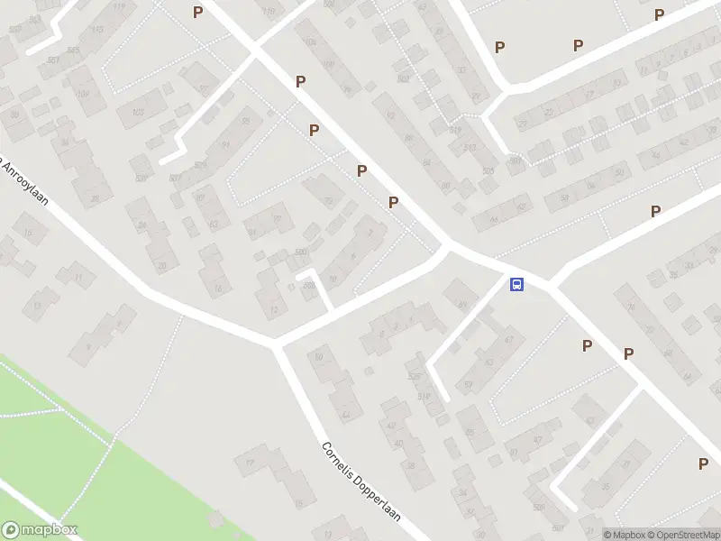Overlastmelding Peter van Anrooylaan in Dieren