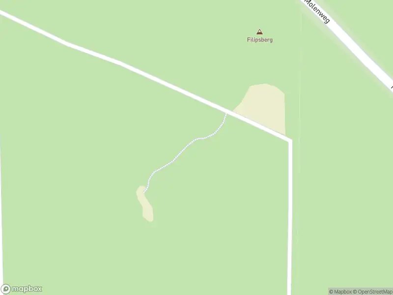 Brandweer met grote spoed naar de Molenweg in Wapenveld