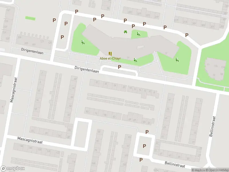Overlastmelding Puccinistraat in Tilburg