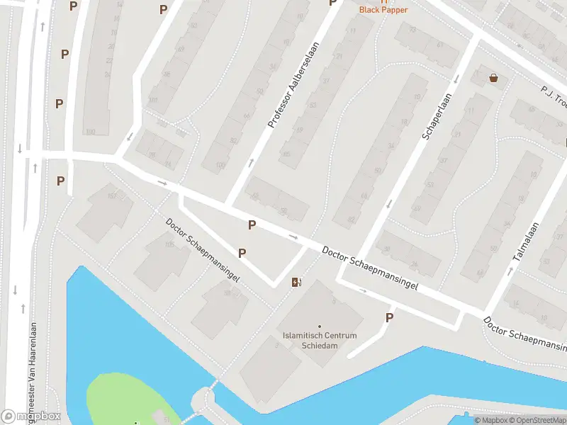 Ambulance met grote spoed naar de Dr. Schaepmansingel in Schiedam