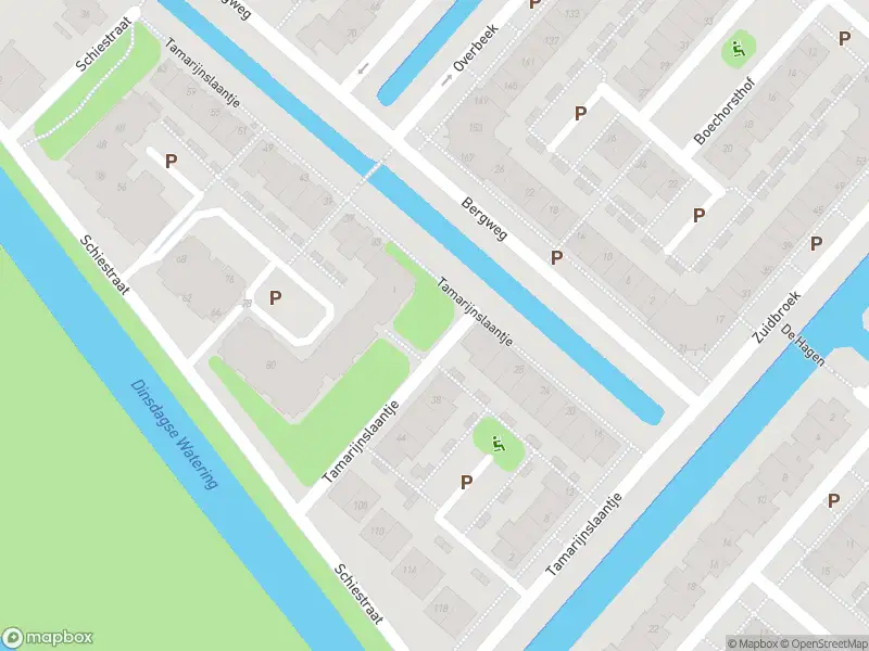 Overlastmelding Tamarijnslaantje in Noordwijk