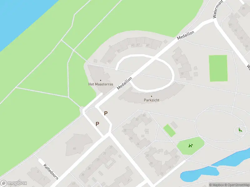 Ambulance met gepaste spoed naar de Medaillon in Tegelen