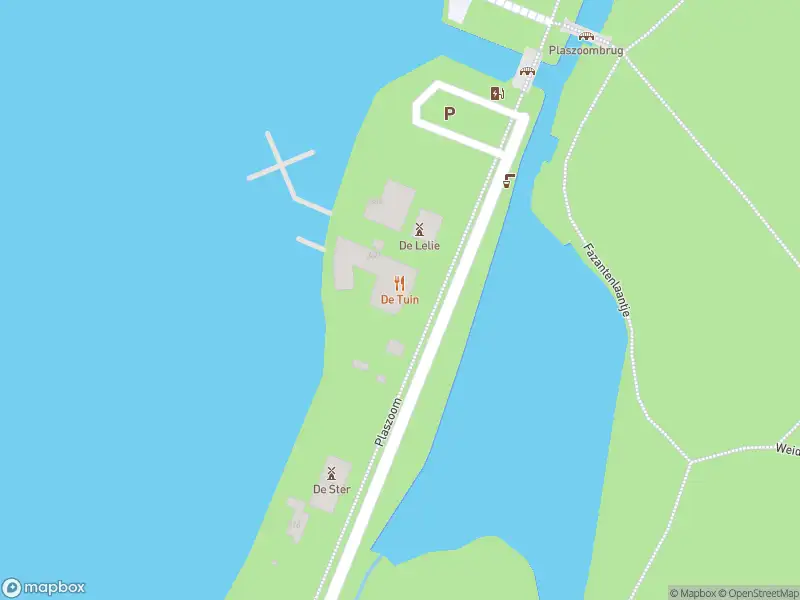 Brandweer met gepaste spoed naar de Plaszoom in Rotterdam vanwege een buitenbrand