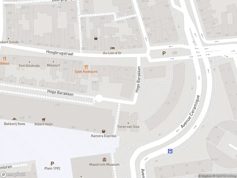 Brandweer met gepaste spoed naar de Avenue Ceramique in Maastricht vanwege wateroverlast