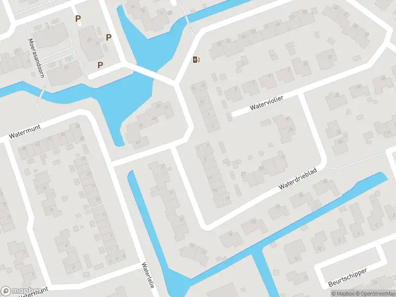 Overlastmelding Waterdrieblad in Oudkarspel