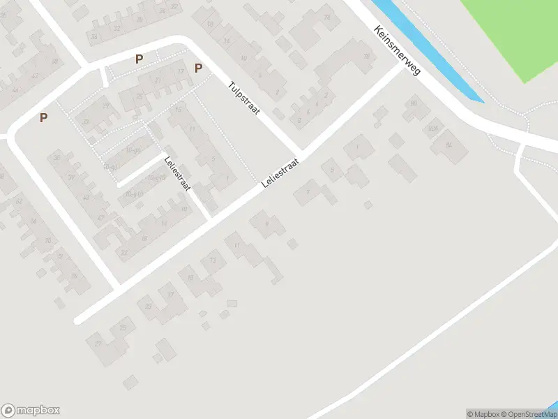 Overlastmelding Leliestraat in 't Zand