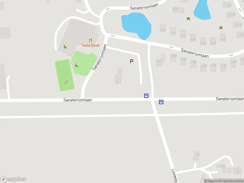 Brandweer met gepaste spoed naar de Sanatoriumlaan in Hellendoorn