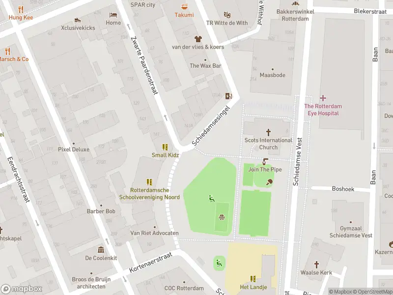 Politie naar de Coolsingel in Rotterdam