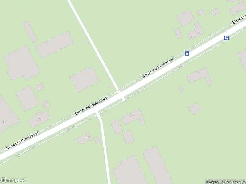 Overlastmelding Biezenmortelsestraat in Biezenmortel