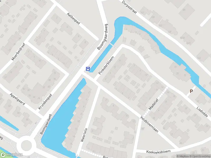 Overlastmelding Pinksterbloem in Heerjansdam