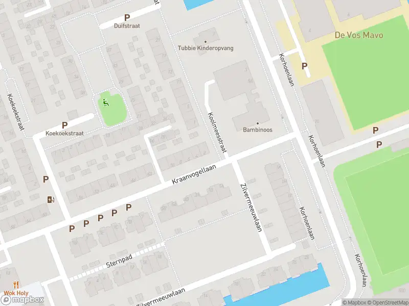 Ambulance met grote spoed naar de Kraanvogellaan in Vlaardingen