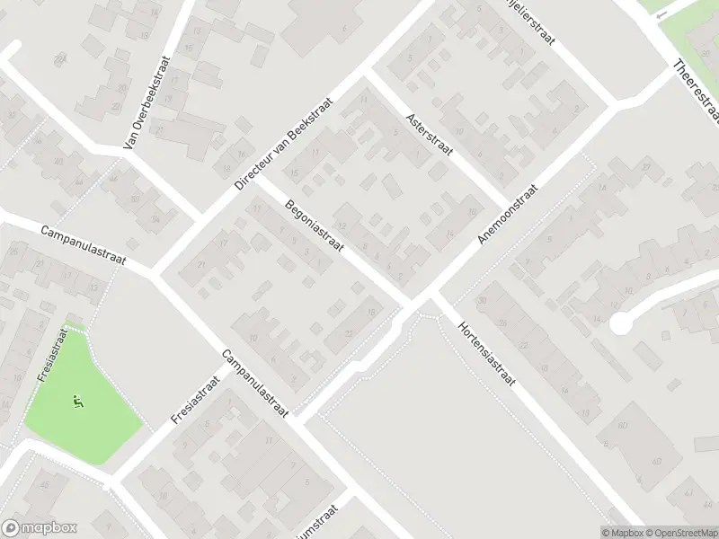 Overlastmelding Begoniastraat in Sint-Michielsgestel