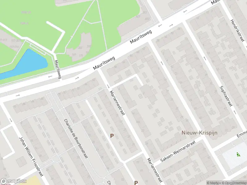Overlastmelding Mariannestraat in Dordrecht