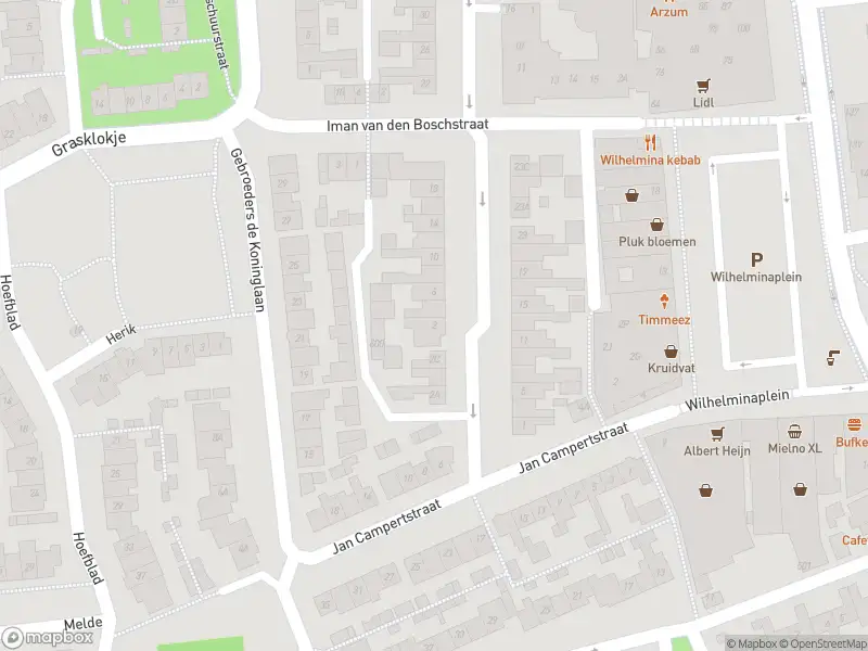 Overlastmelding Meester C. Goselingstraat in Best