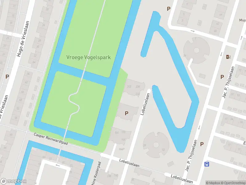 Overlastmelding Lobeliuslaan in 2341PK Oegstgeest