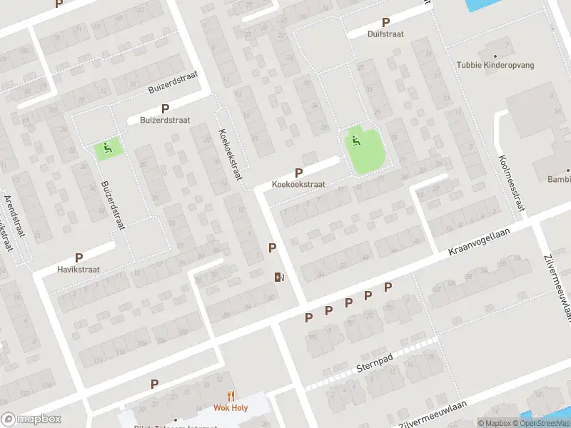 Ambulance met gepaste spoed naar de Koekoekstraat in Vlaardingen