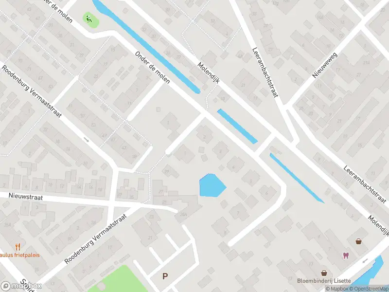 Overlastmelding Molenvliet in 's-Gravendeel