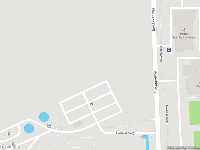 Politie naar de Hosbekkeweg in Borne vanwege aanrijding met letsel
