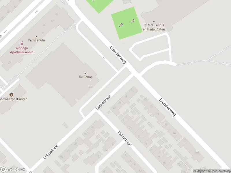 Politie naar de Lienderweg in Asten vanwege personen te water
