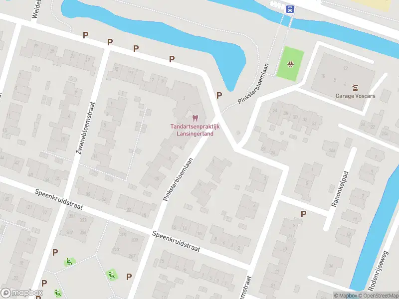 Ambulance met gepaste spoed naar de Pinksterbloemlaan in Berkel en Rodenrijs