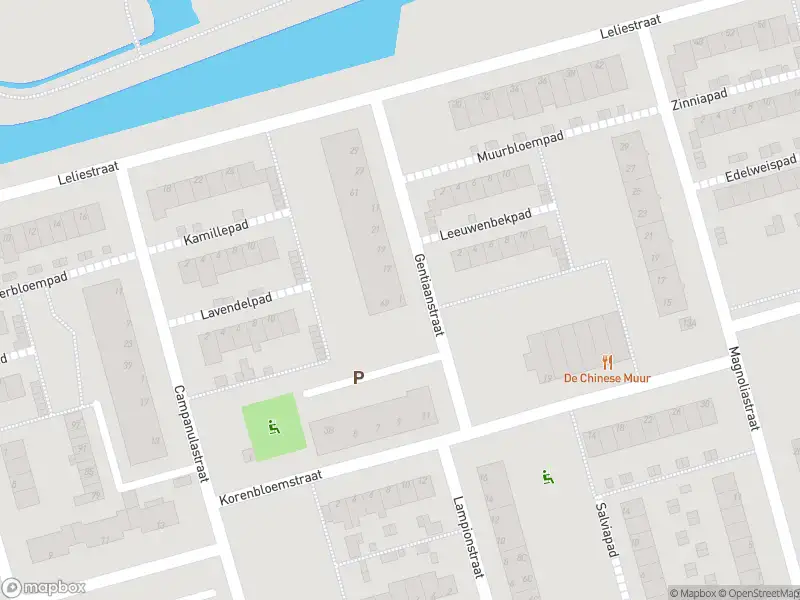 Ambulance met grote spoed naar de Gentiaanstraat in Spijkenisse