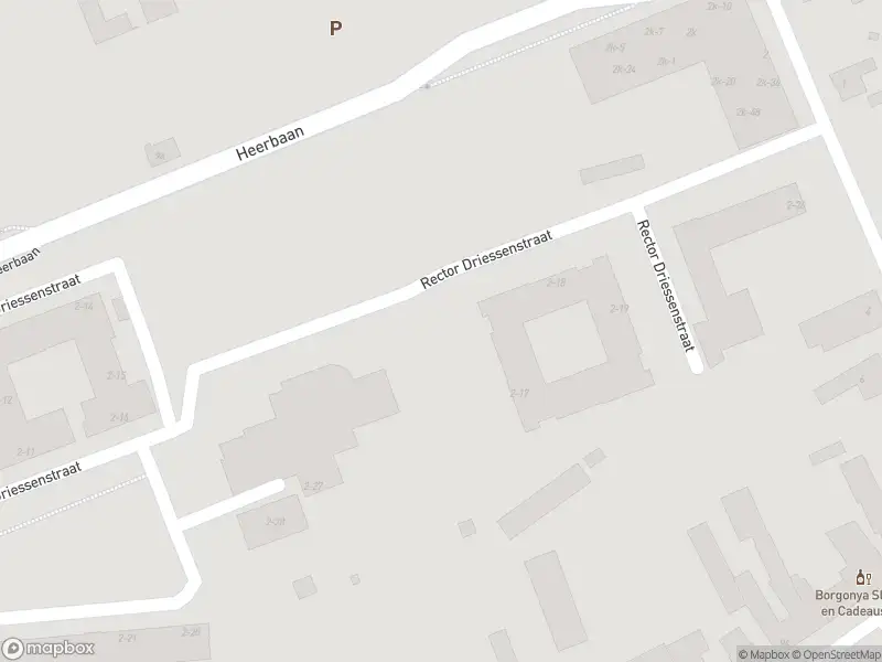 Ambulance met grote spoed naar de Rect. Driessenstraat in Heel