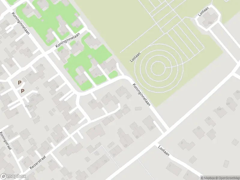 Overlastmelding Koninginnelaan in Doetinchem